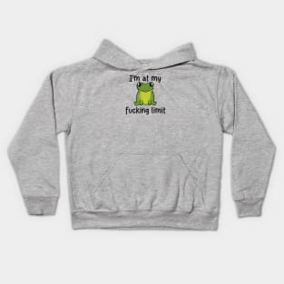 I’m At My Limit Funny Frog Kids Hoodie